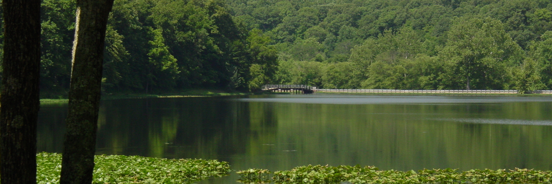 Lake View of Distant Bridge