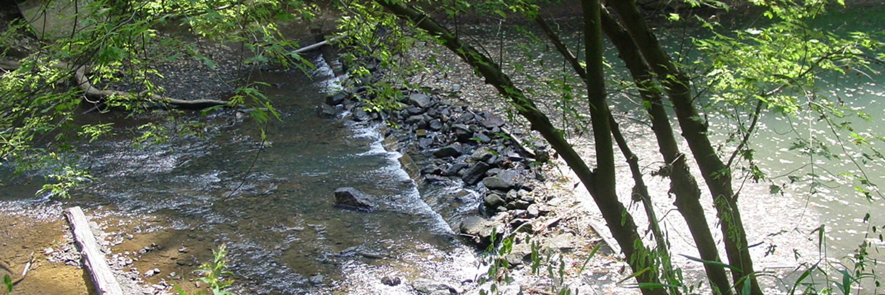 Flowing River