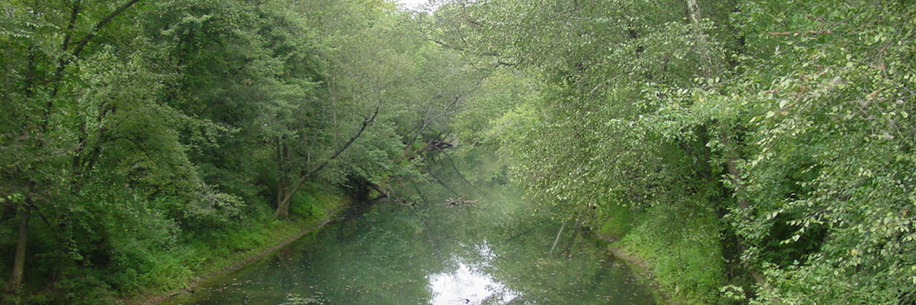 River Overhead View